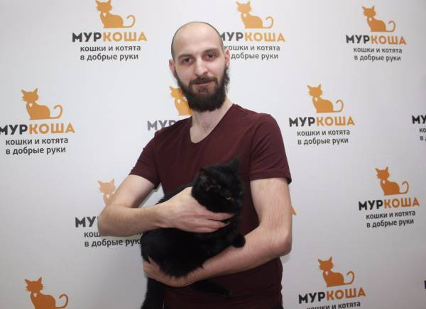 Котик