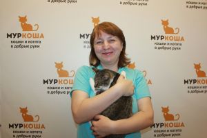 Котик