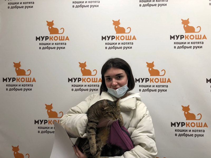 Котик
