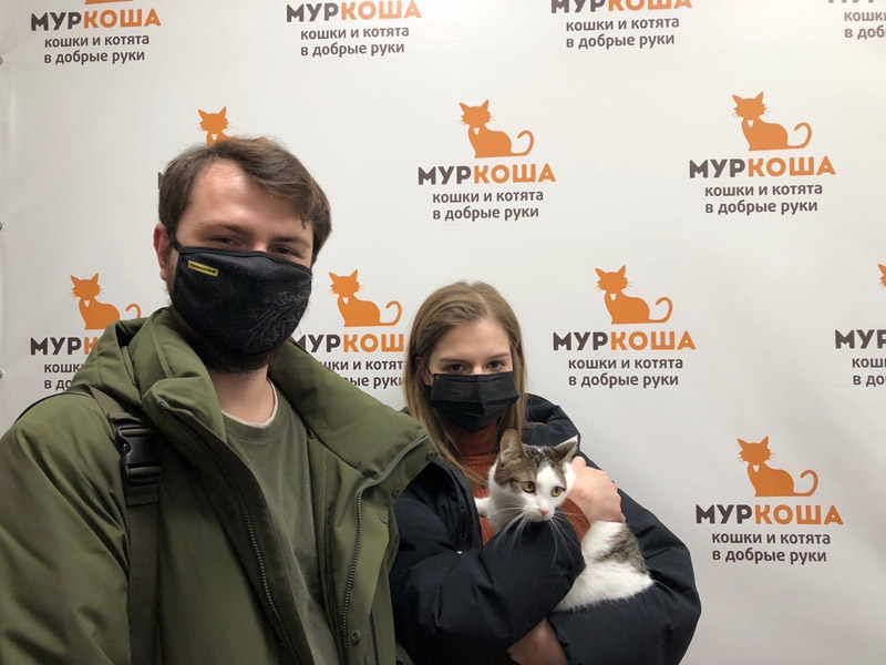Котик