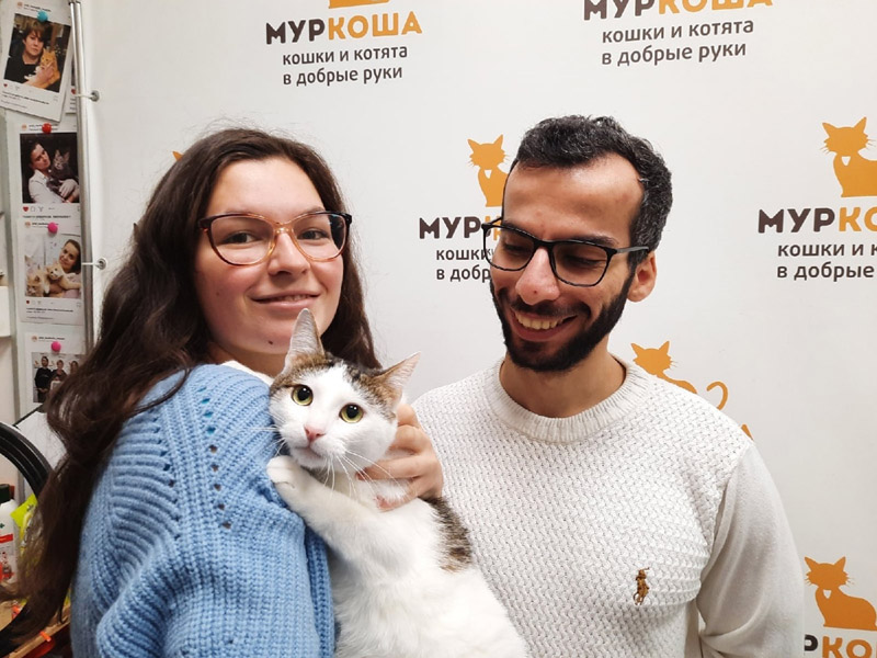 Котик