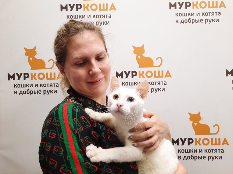 Котик