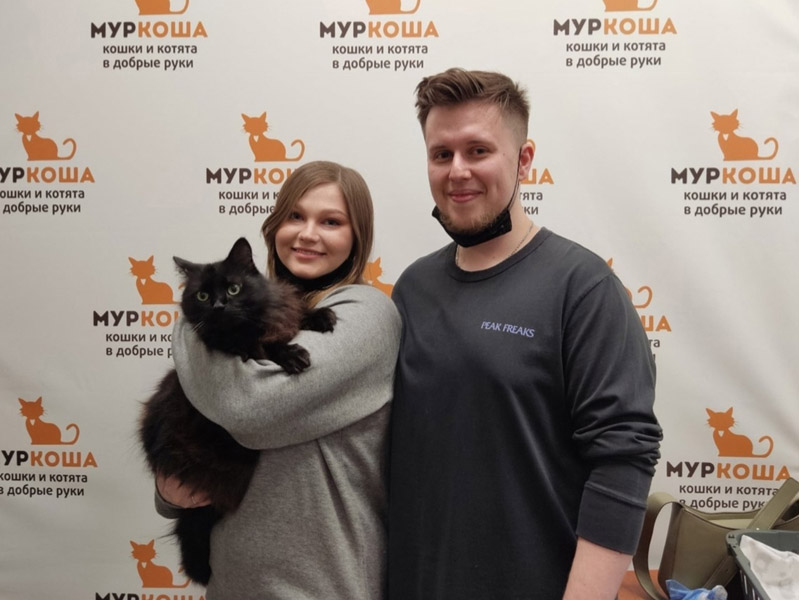 Котик