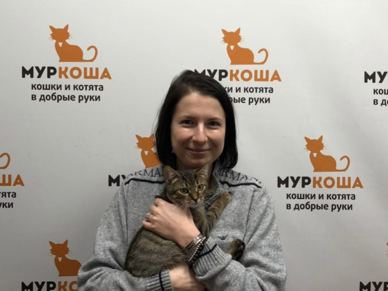 Котик