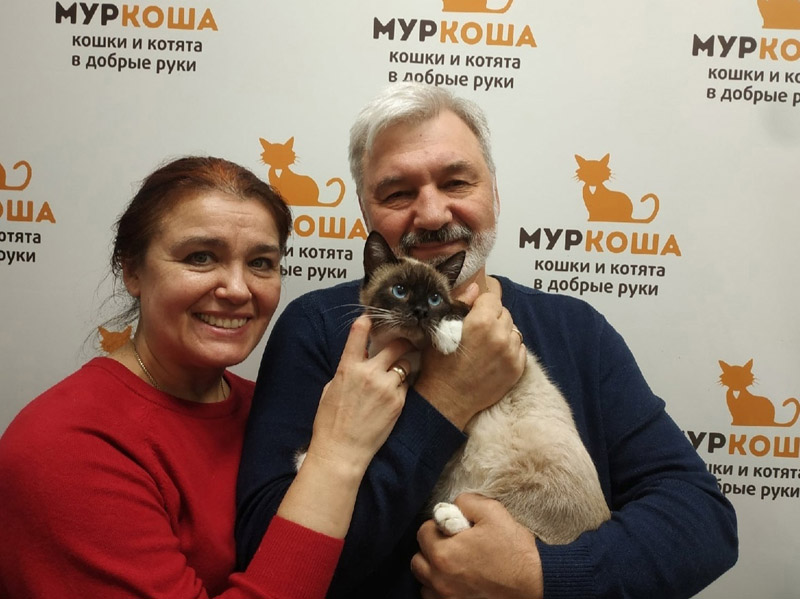 Котик