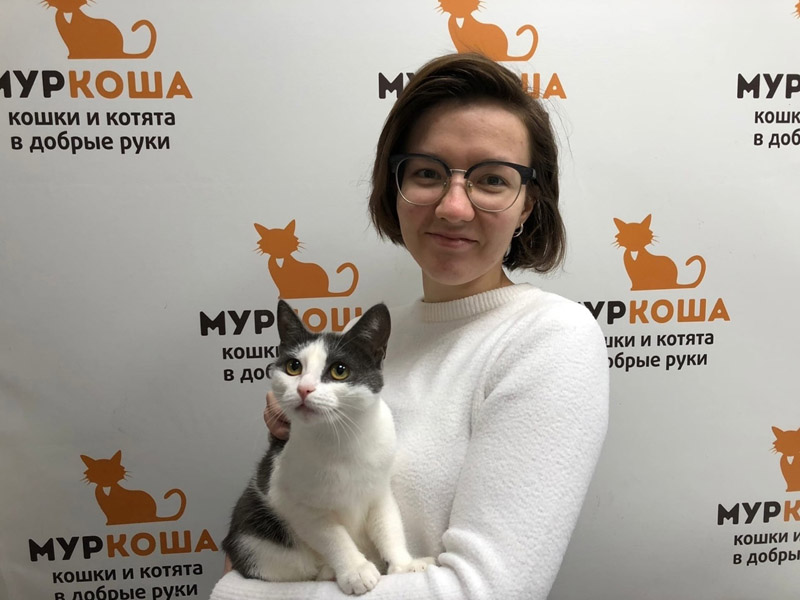 Котик