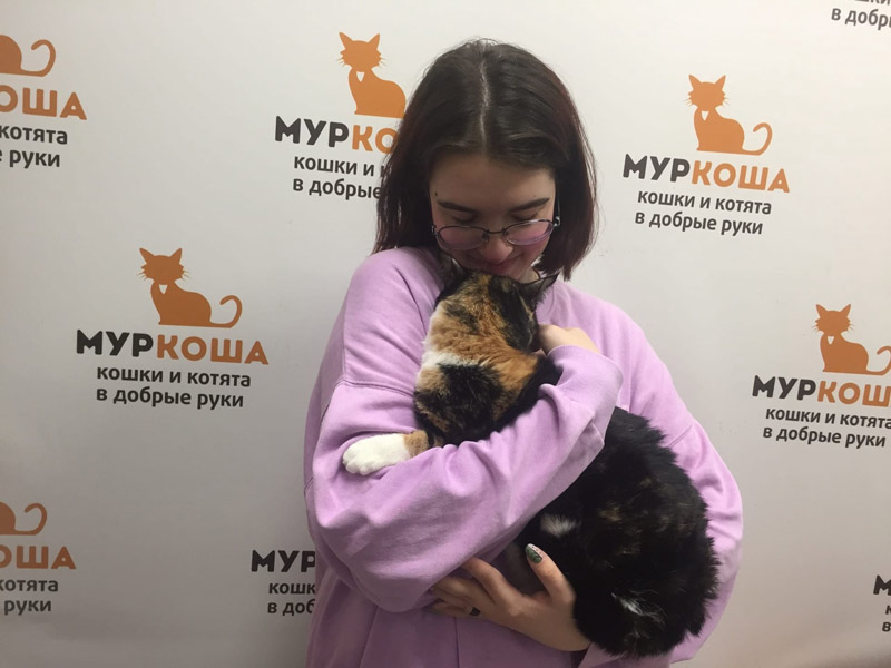 Котик