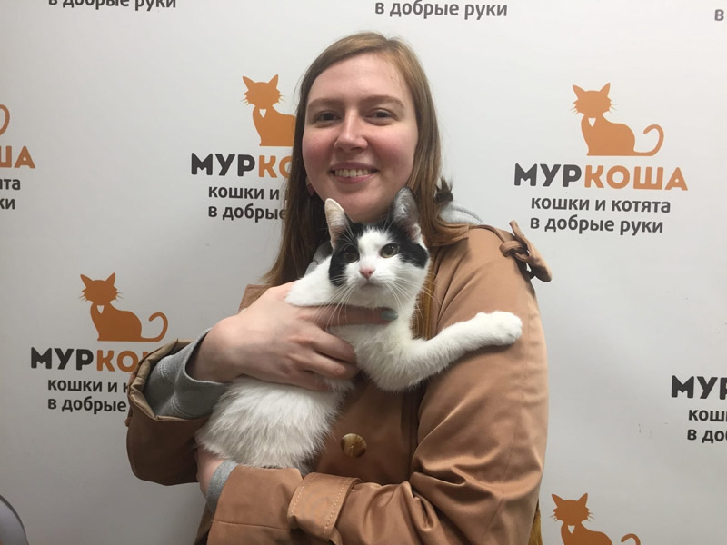 Котик