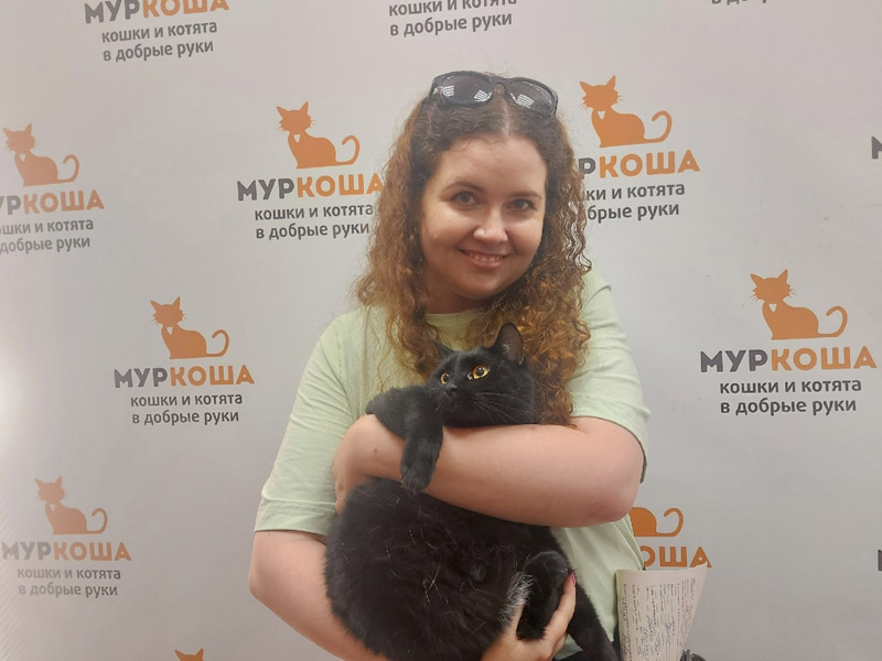 Котик