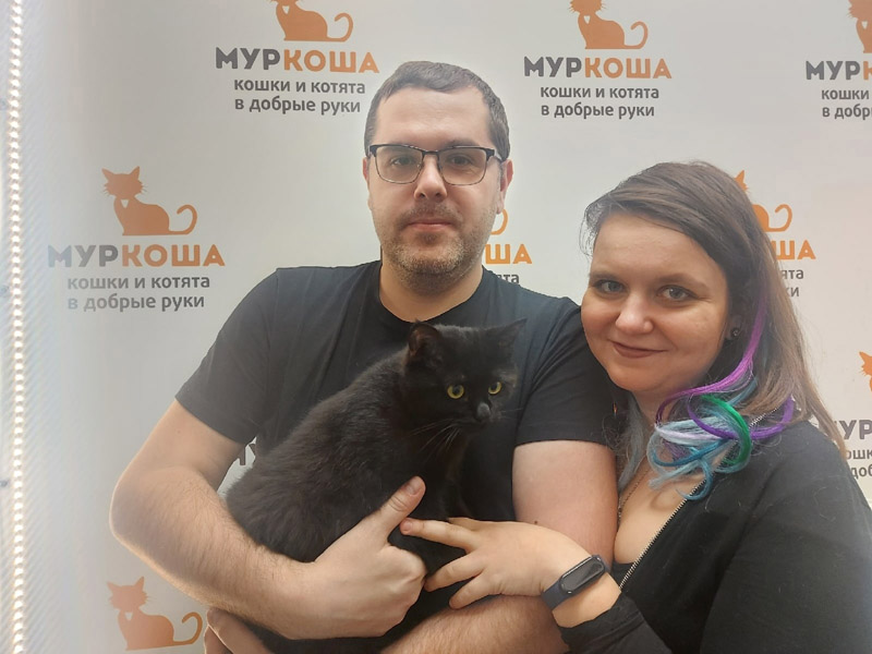 Котик