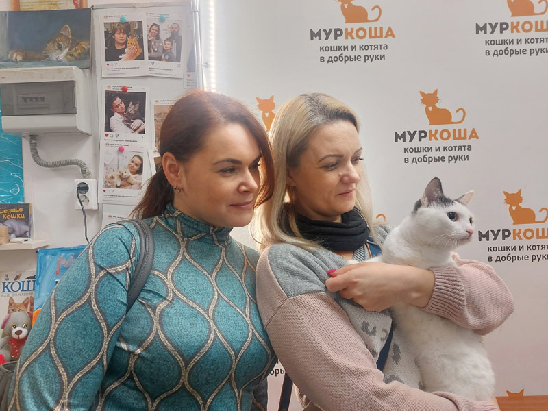 Котик