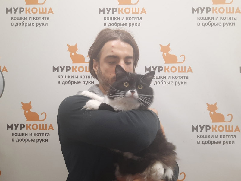 Котик