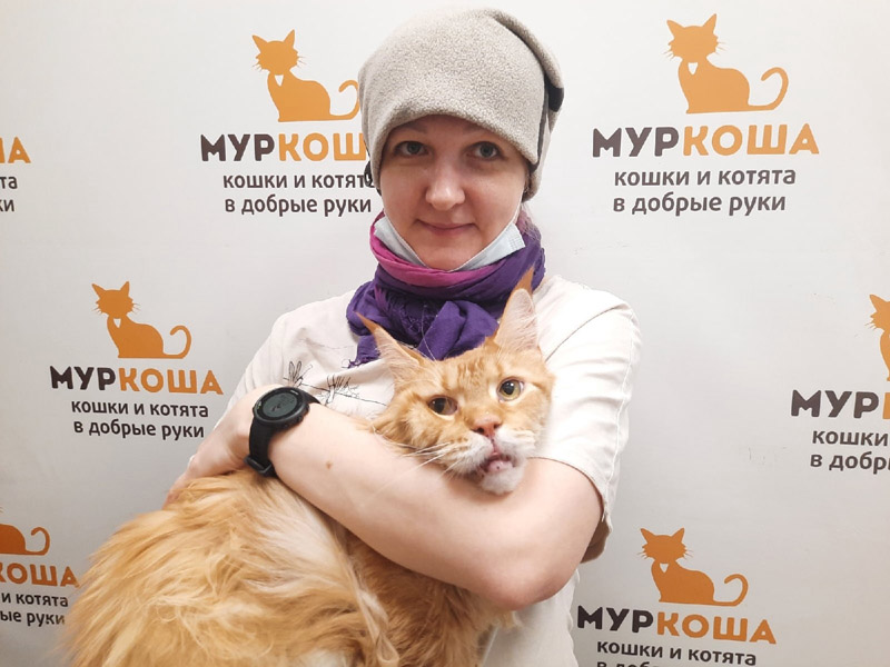 Котик