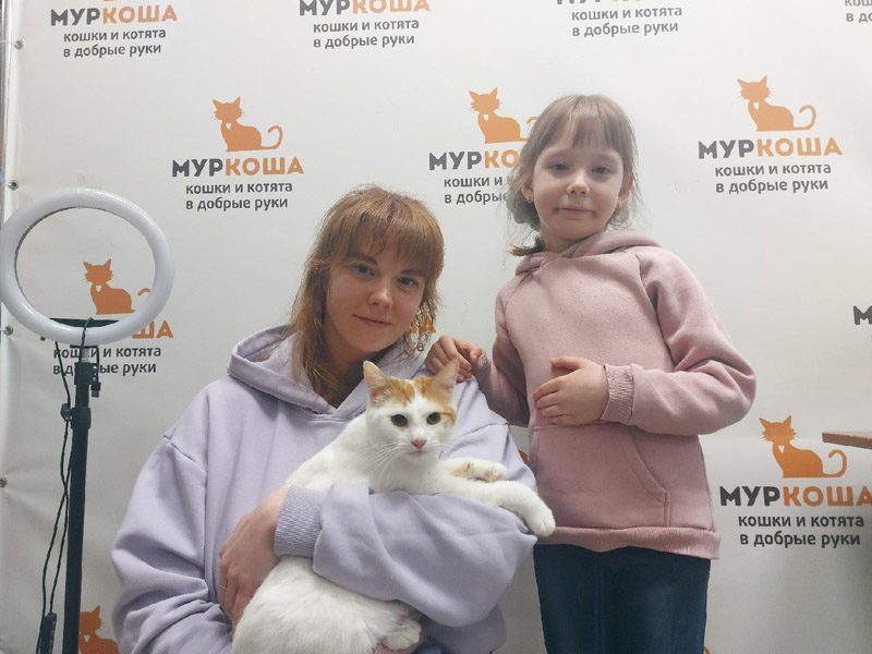 Котик
