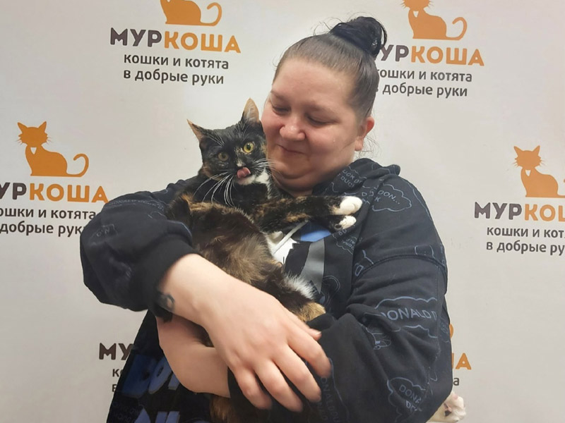 Котик