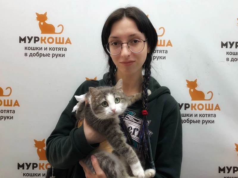 Котик
