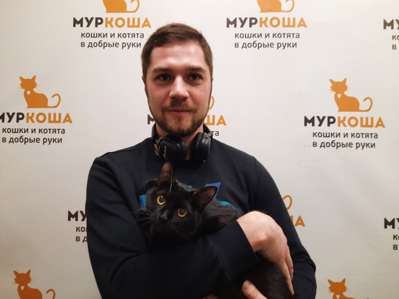 Котик