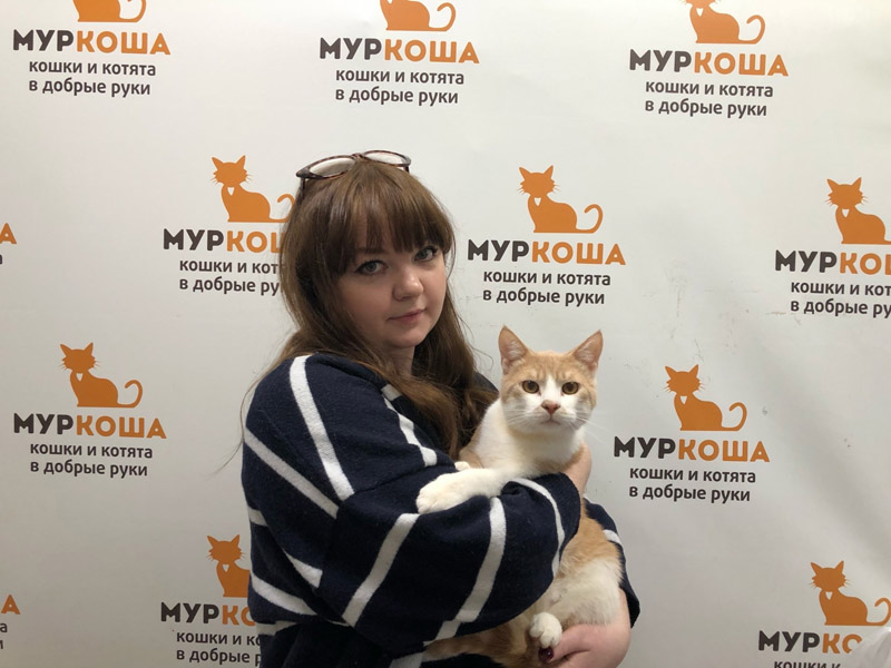 Котик