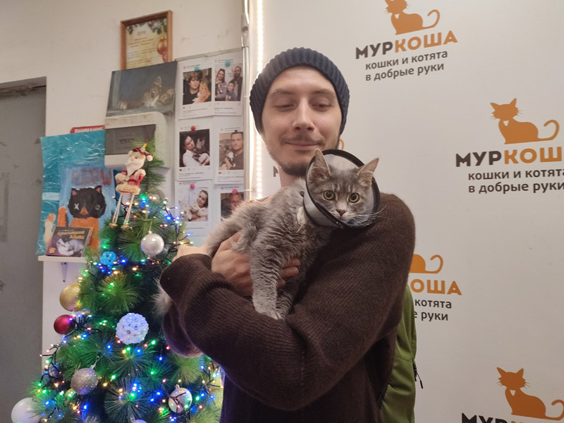 Котик