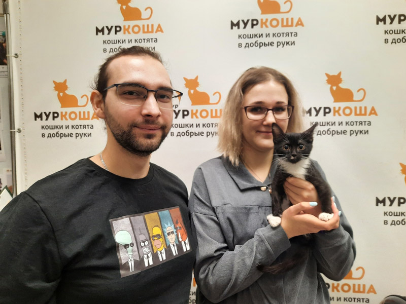 Котик