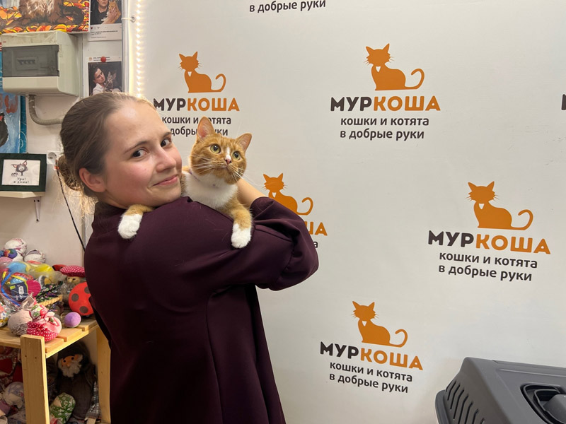 Котик