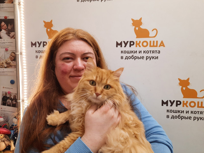 Котик