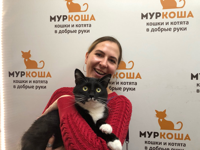 Котик