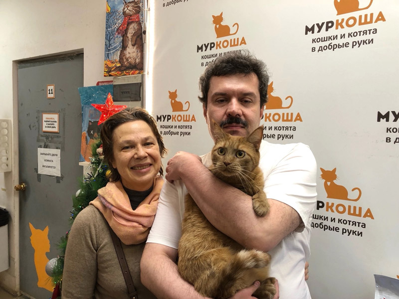 Котик