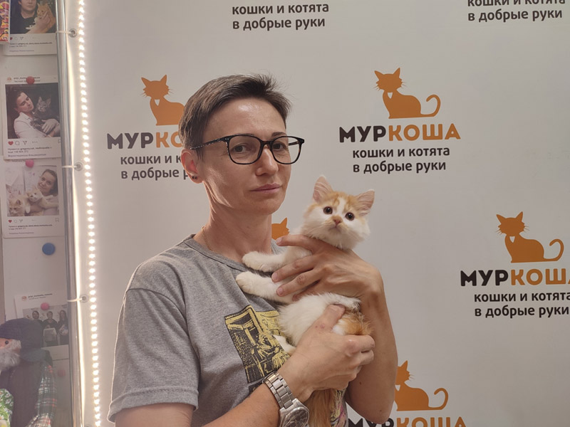 Котик