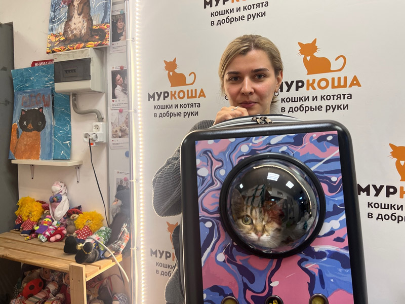 Котик