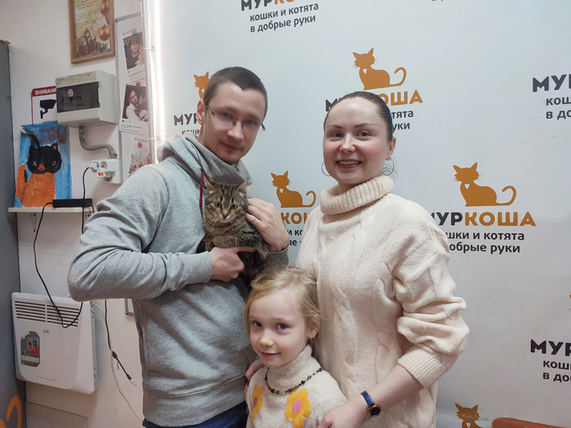 Котик