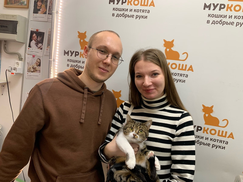 Котик