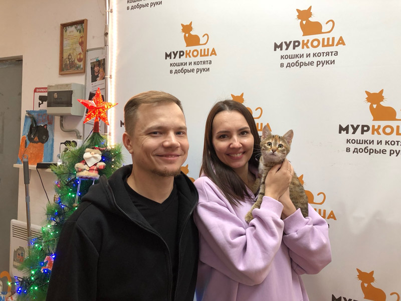 Котик
