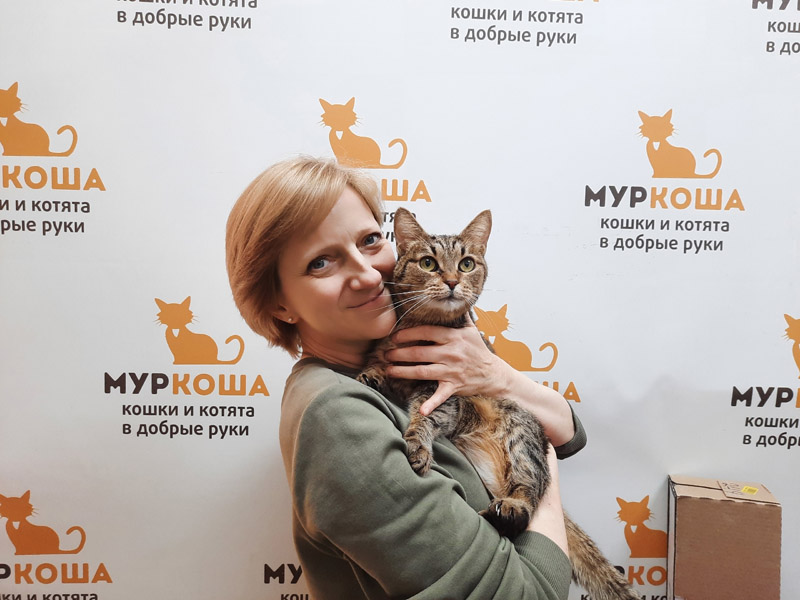 Котик