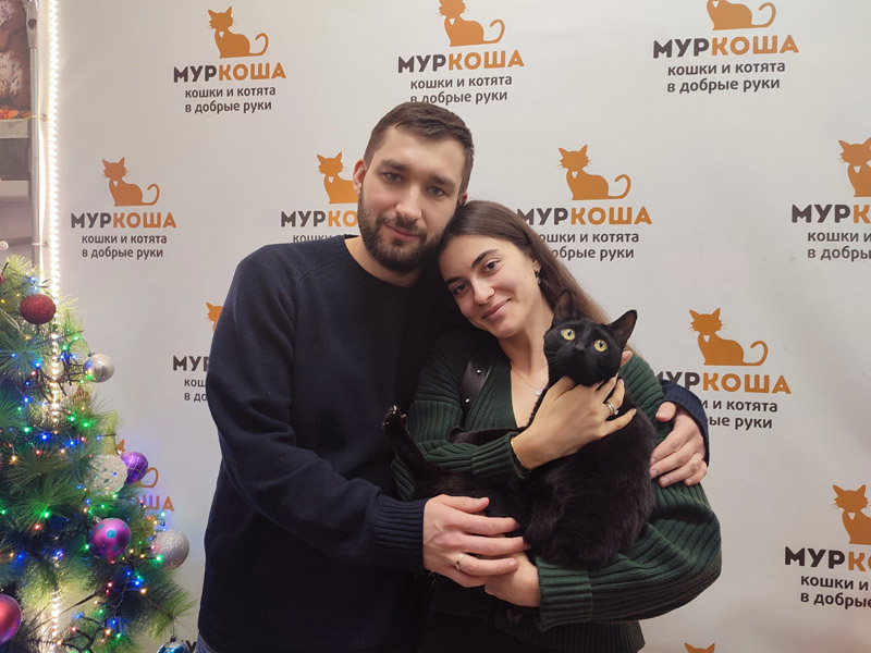 Котик