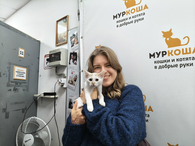 Котик