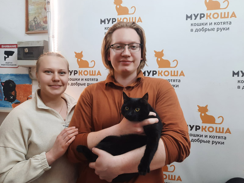 Котик