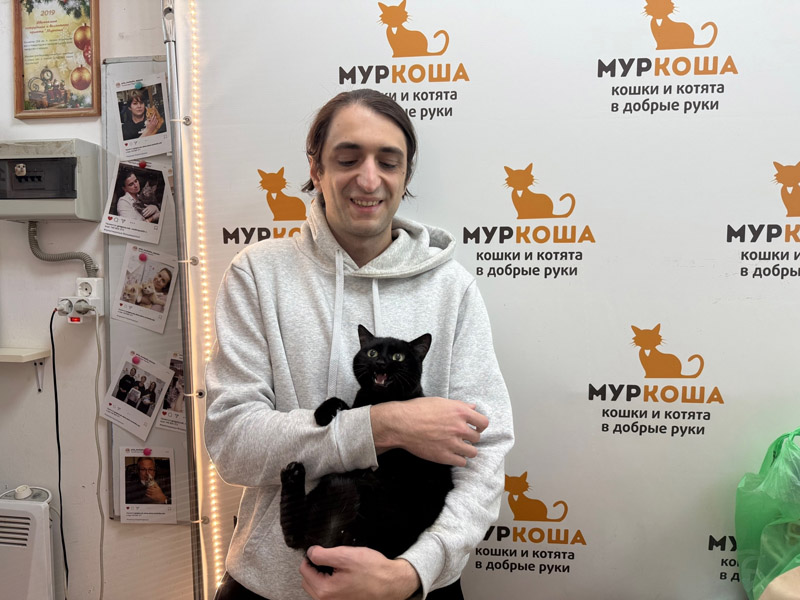 Котик