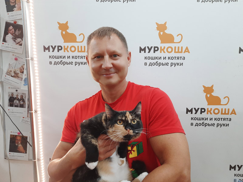 Котик