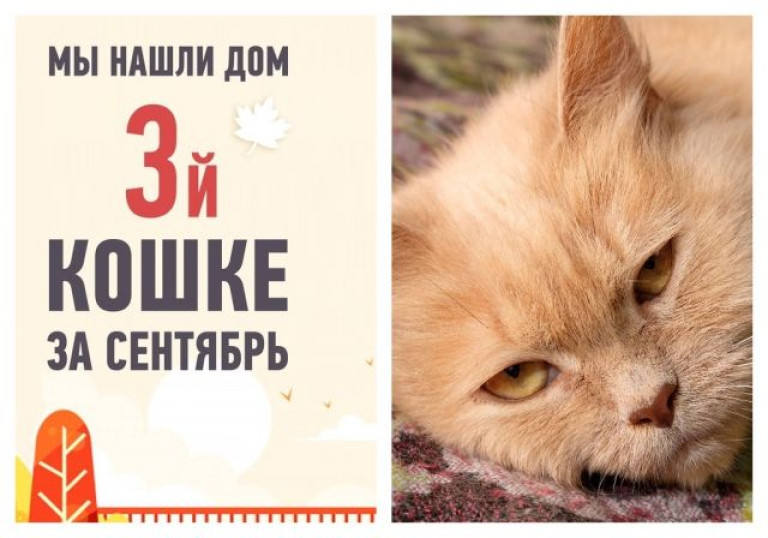 С любимыми не расставайтесь: Златишу забрала домой опекун!
