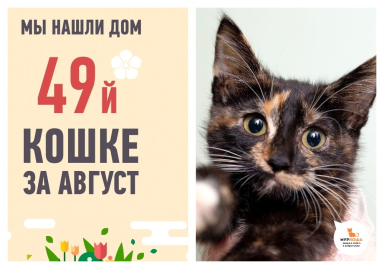 Трехмесячная Макарошка, спасенная из подвала, стала домашней!