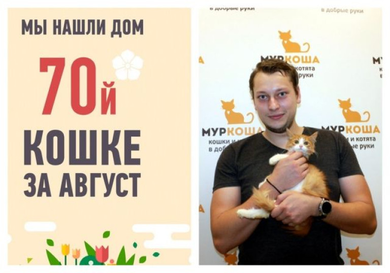 Ровно месяц на поиск дома для рыженькой Анисии!