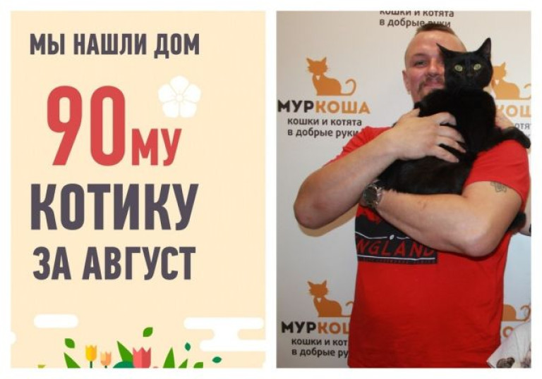 Девяностым августовским счастливчиком становится кот Данек!