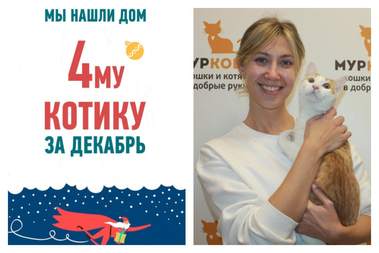 У котика Джемисона появилась любящая хозяйка!