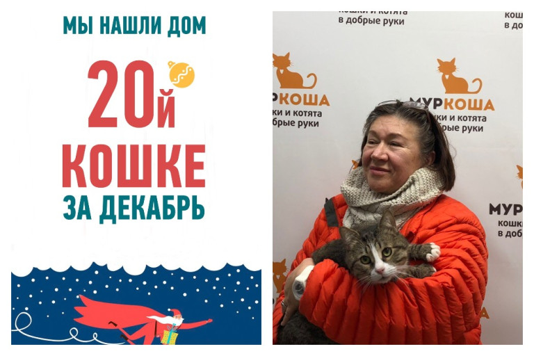Пятилетний котик Мурзюша отправляется домой!