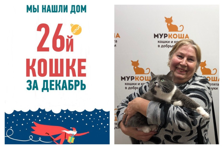 Счастливая домашняя жизнь начинается у кошки Пайпер!