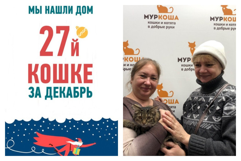 У кошки Чупы появилась хозяйка, ура!