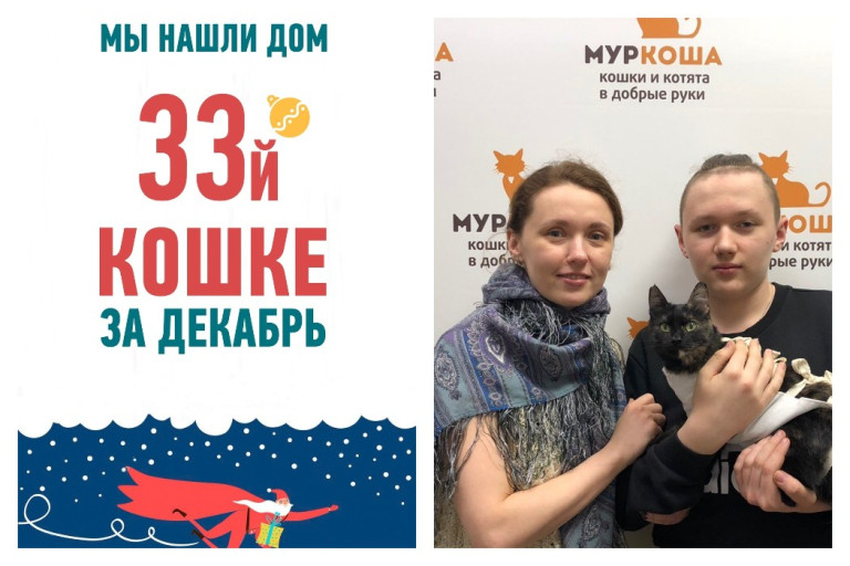 Спустя два месяца в приюте провожаем домой кошку Микушу!