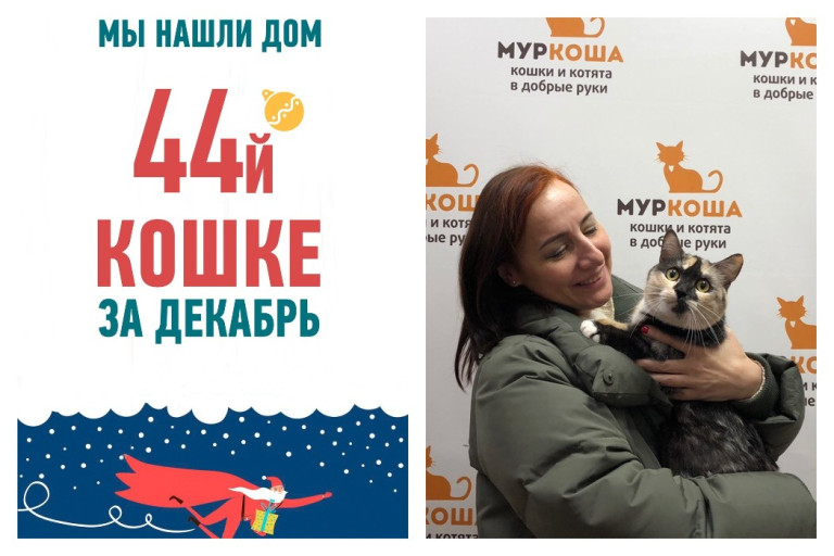 Кошка Зена стала домашней любимицей!