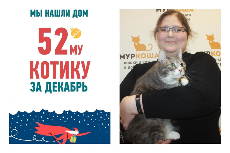 Вторая попытка на счастье двухлетнего котика Лемми!